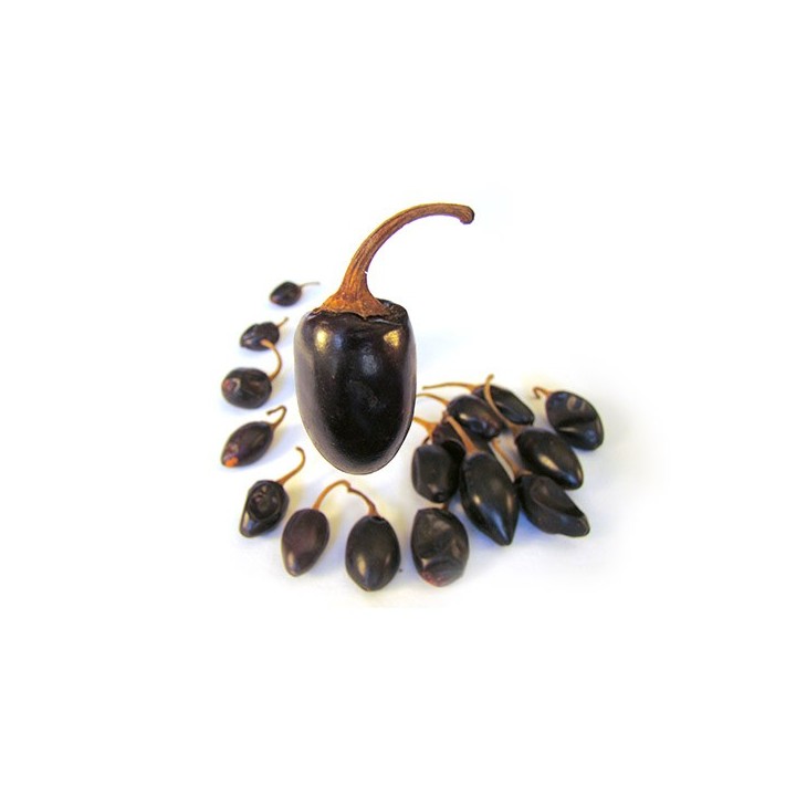Piment Cascabel 100g