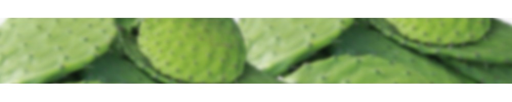 Nopales