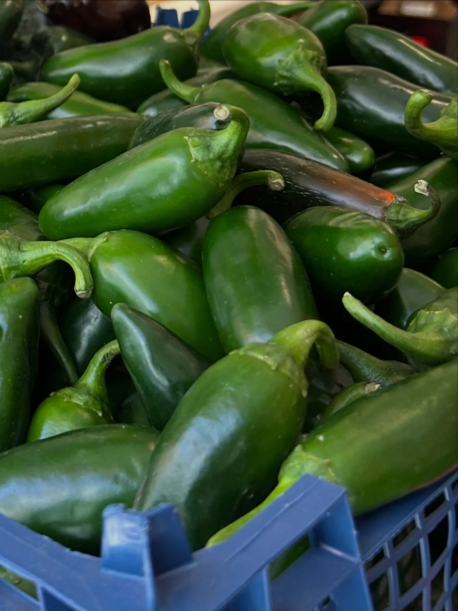 Une caisse de piments jalapeños frais
