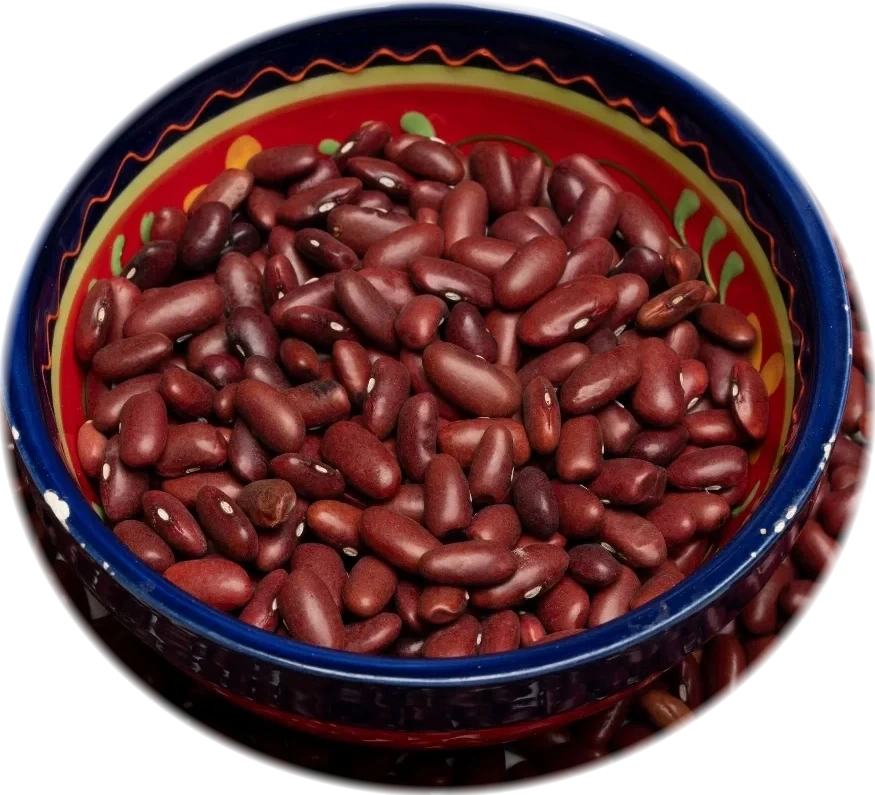 Haricots